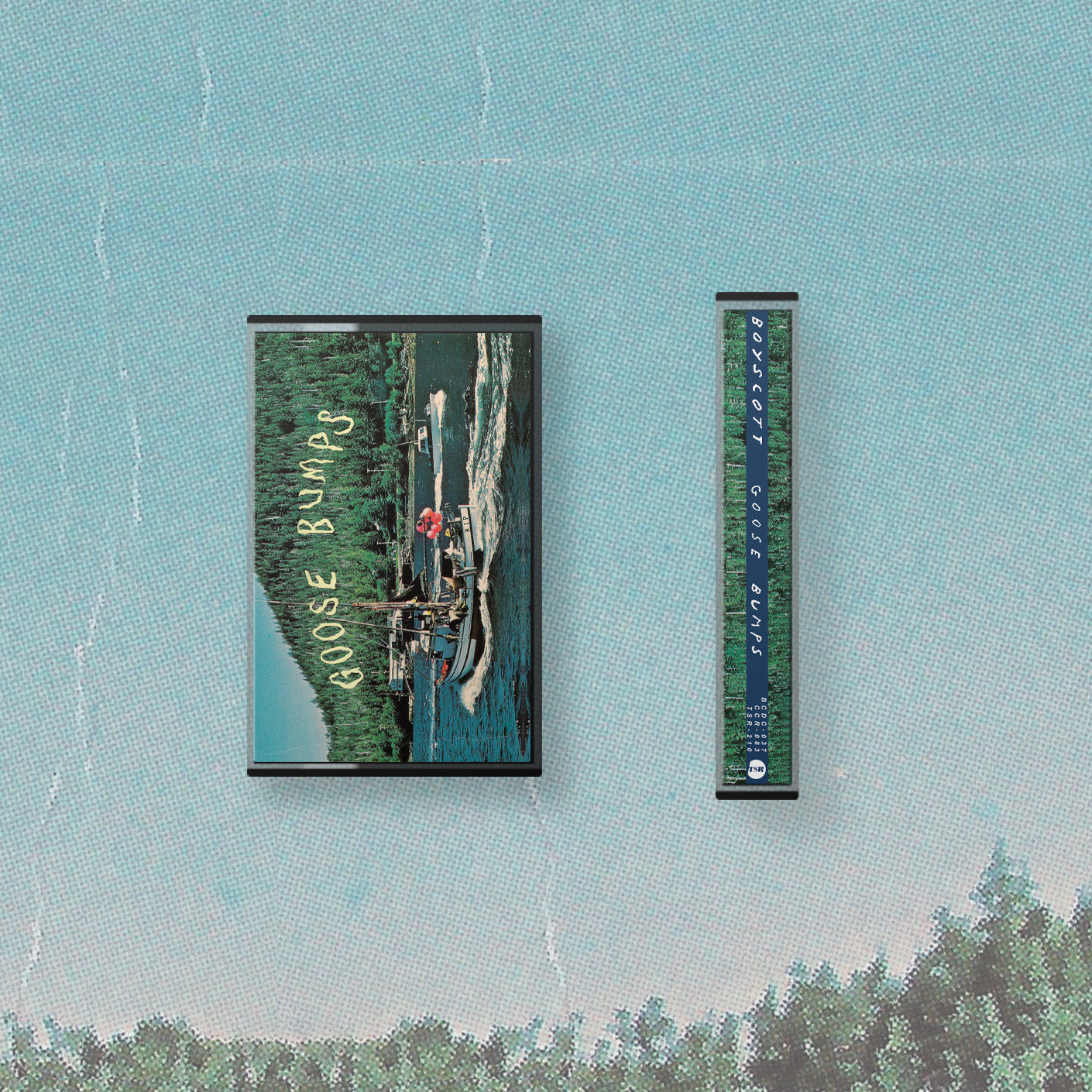 Boyscott - Goosebumps CS