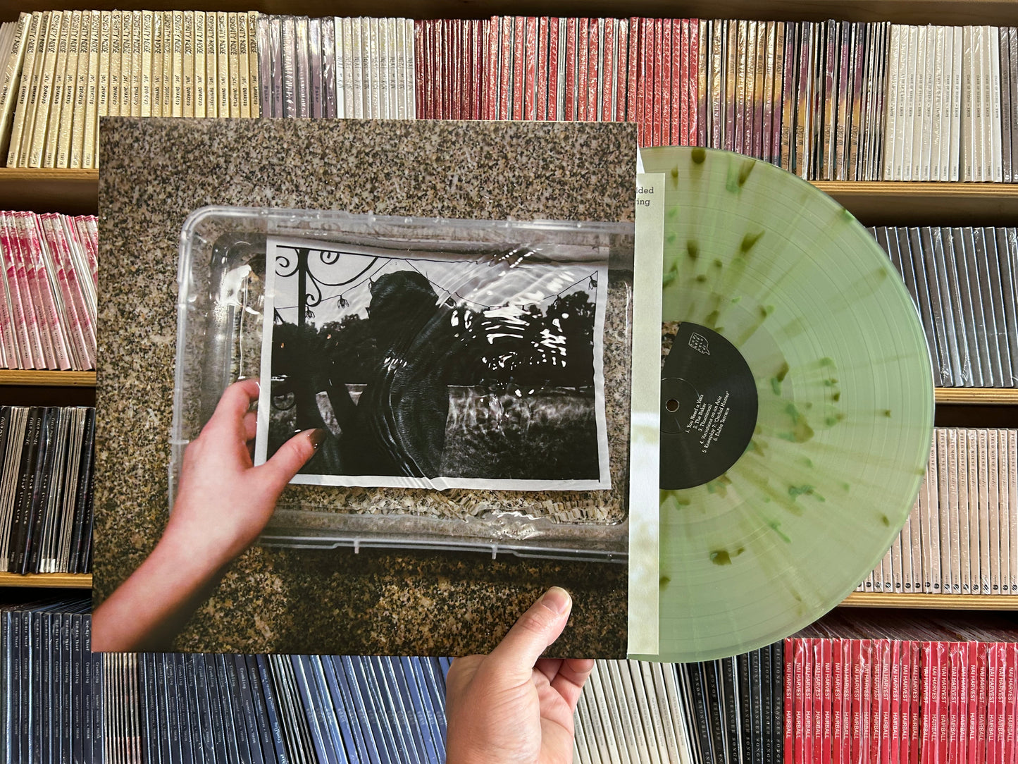 Really From - Verse LP