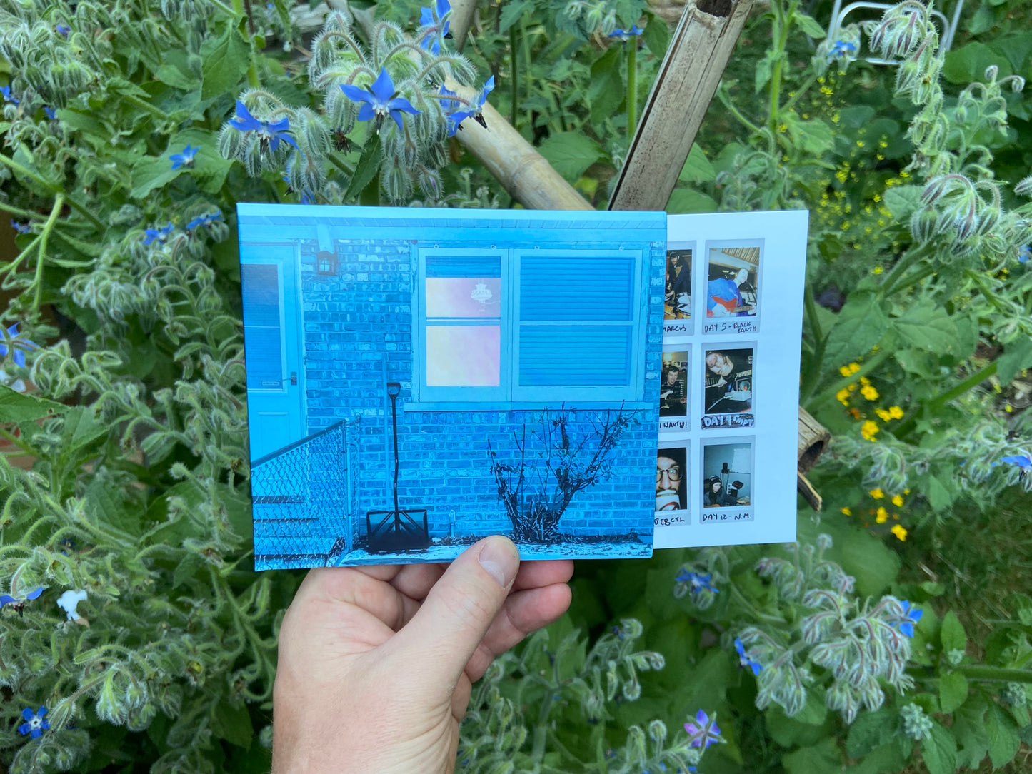 Ratboys - The Window CD