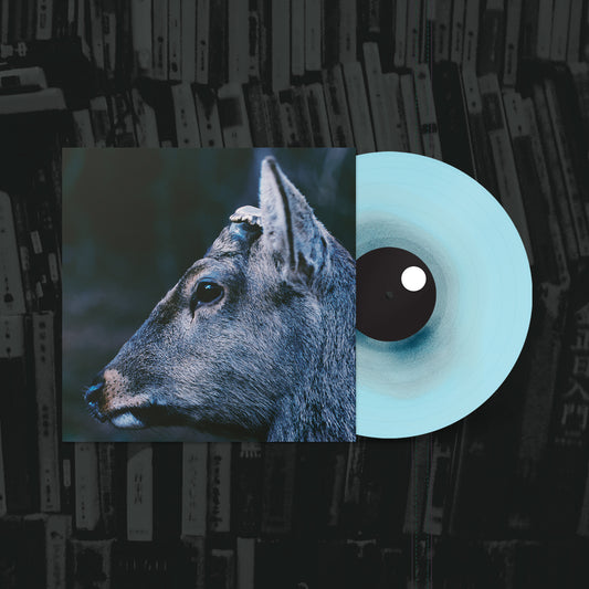 toe - the book about my idle plot on a vague anxiety LP