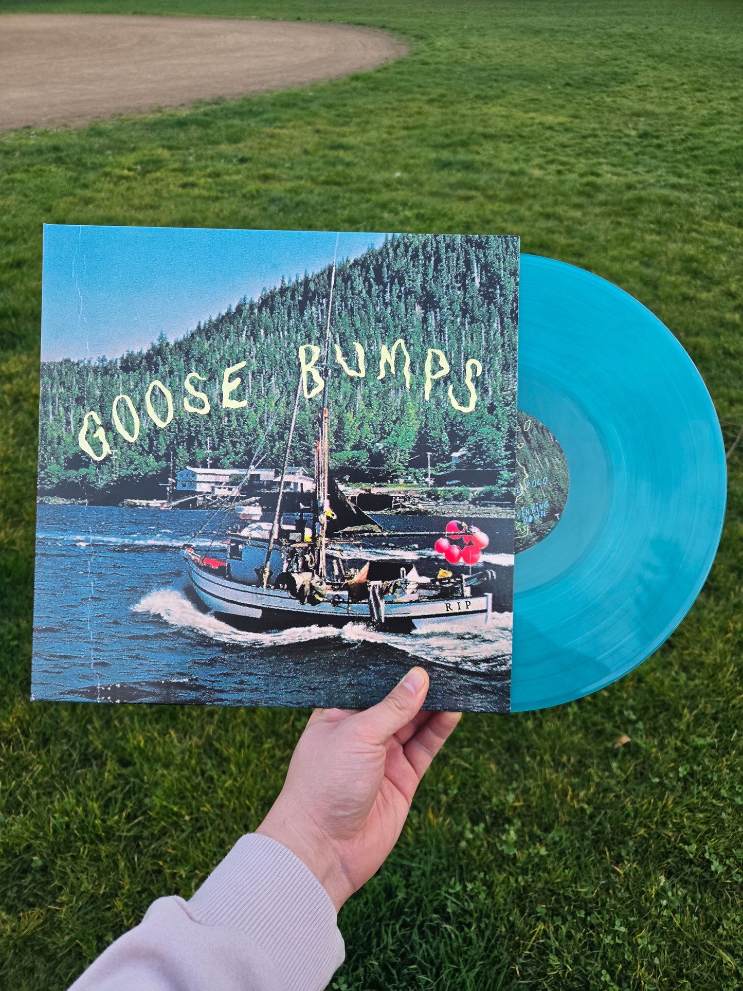 Boyscott - Goose Bumps LP