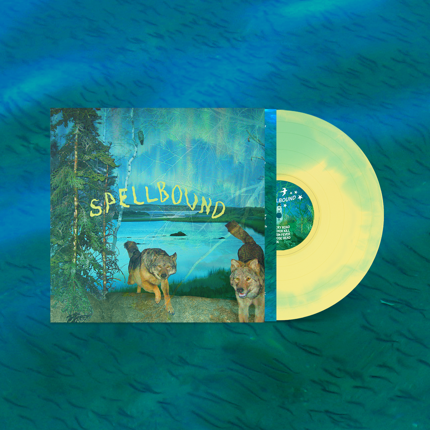 Boyscott - "Spellbound" LP