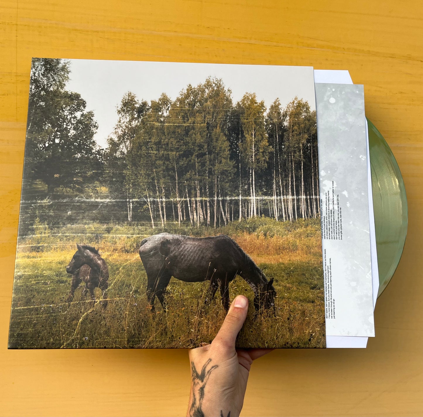 Pianos Become the Teeth - Old Pride LP