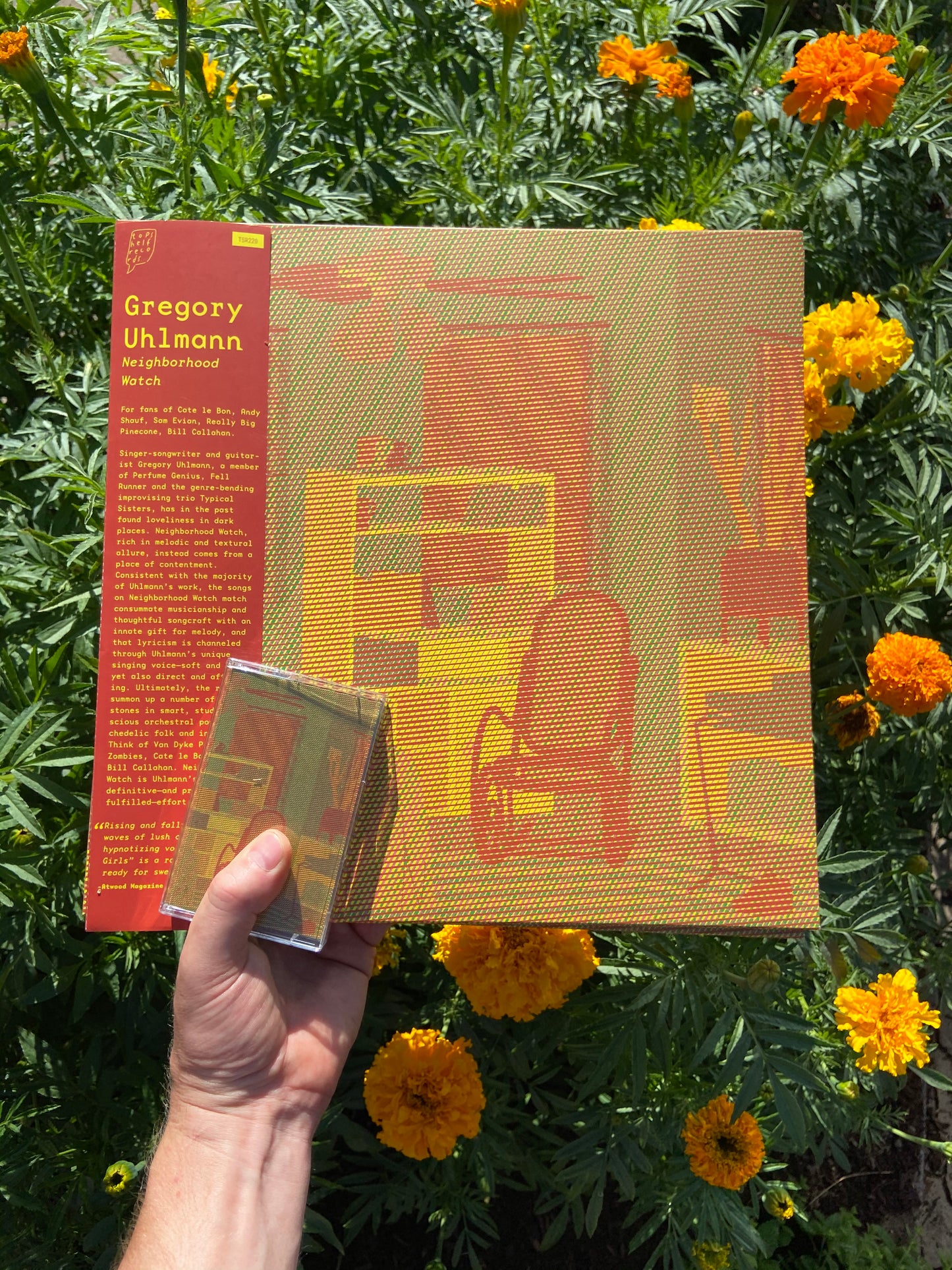 Gregory Uhlmann - Neighborhood Watch LP