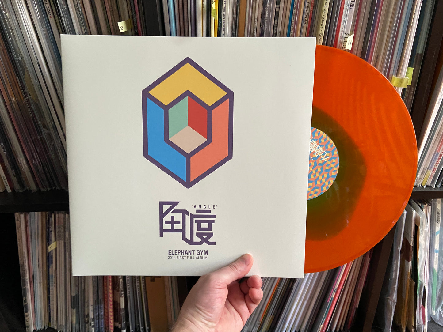 Elephant Gym - Angle LP