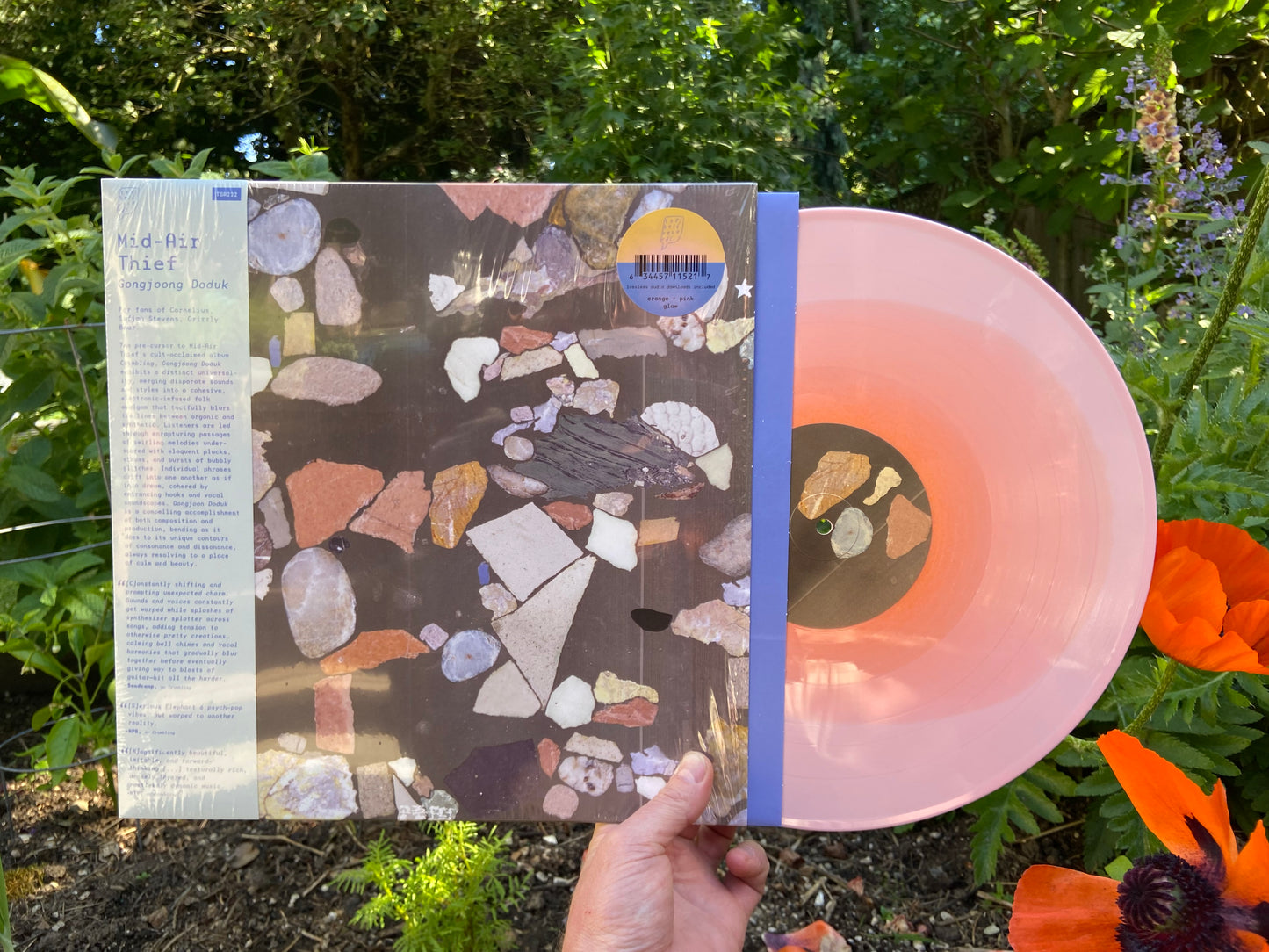 Mid-Air Thief - Gongjoong Doduk LP