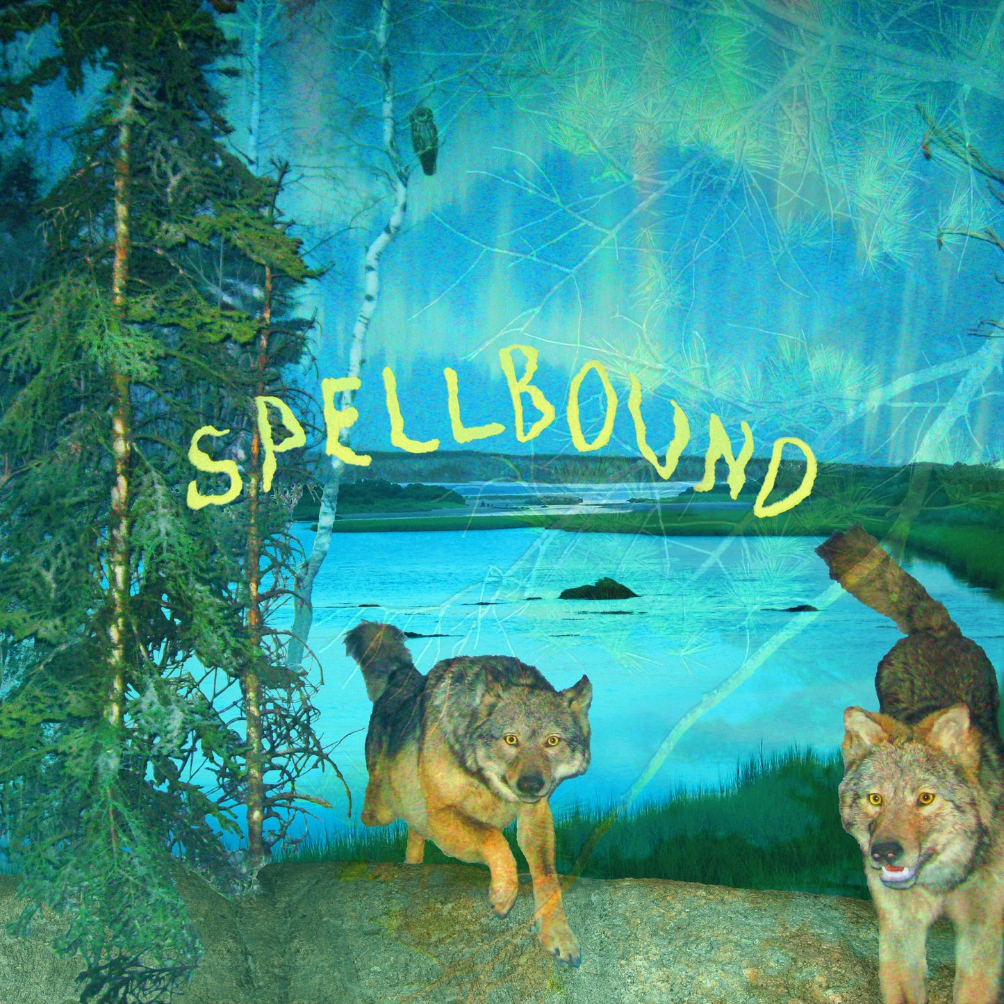 Boyscott - "Spellbound" LP