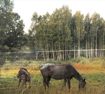 Pianos Become The Teeth - Old Pride CD